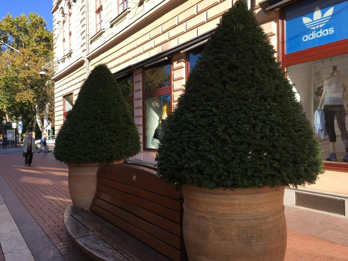 Apartment Gutenberg Szeged